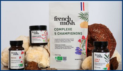 Référencement Frenchmush