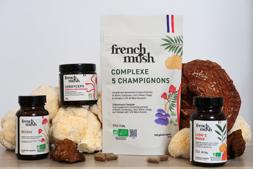 Référencement Frenchmush